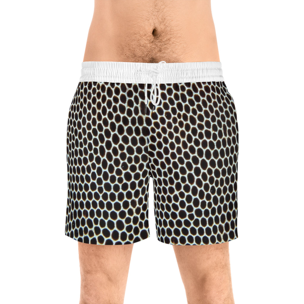 Hex Mesh Swim Shorts